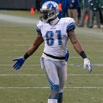 Photo credit: Mike Morbeck via Wikipedia